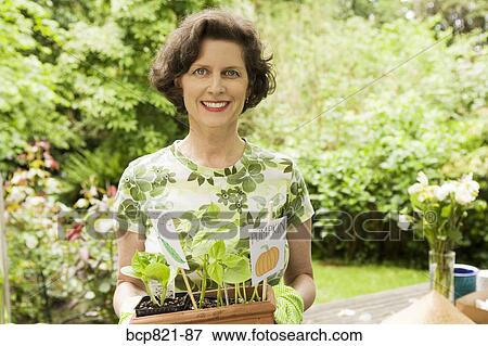 Stock Photo - Woman holding pumpkin seedlings in garden. Fotosearch