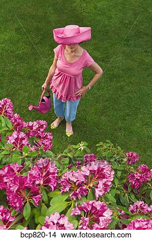 Woman in festive pink hat standing in garden View Large Photo Image Picture - Woman in festive pink hat standing in garden. Fotosearch