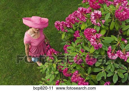 Woman in festive pink hat standing in garden View Large Photo Image Stock Image - Woman in festive pink hat standing in garden. Fotosearch