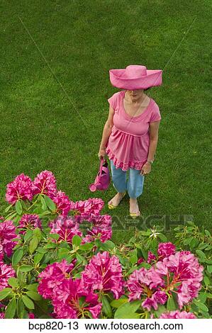Woman in festive pink hat standing in garden View Large Photo Image Stock Image - Woman in festive pink hat standing in garden. Fotosearch