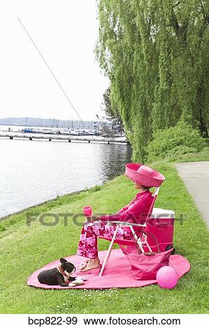 Woman in pink and Boston Terrier dog picnicking by bay View Large Photo Image Stock Photo - Woman in pink and Boston Terrier dog picnicking by bay. Fotosearch