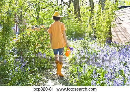 Woman walking through flowered path in garden View Large Photo Image Stock Image - Woman walking through flowered path in garden. Fotosearch