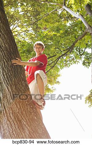 Picture - Boy climbing a tree. Fotosearch