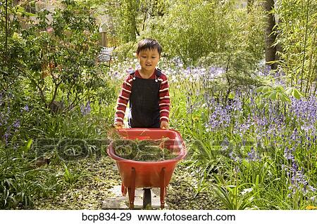 Boy pushing a wheelbarrow View Large Photo Image Stock Photo - Boy pushing a wheelbarrow. Fotosearch