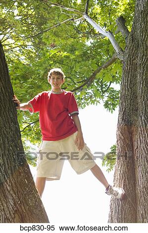 Boy standing on a tree View Large Photo Image Stock Photography - Boy standing on a tree. Fotosearch