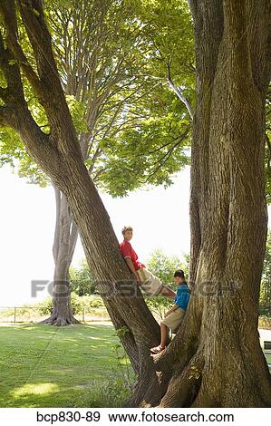 Friends leaning against trees View Large Photo Image Stock Photo - Friends leaning against trees. Fotosearch