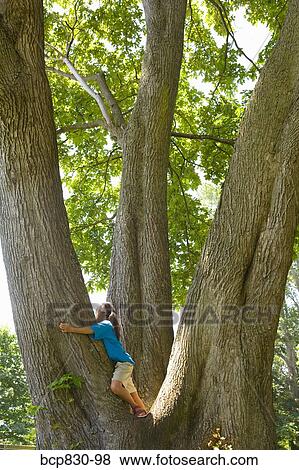 Stock Photo - Girl hugging a tree. Fotosearch