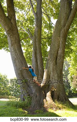 Stock Photo - Girl hugging a tree. Fotosearch