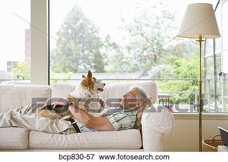 Man with his dog on a couch View Large Photo Image Stock Photo - Man with his dog on a couch. Fotosearch