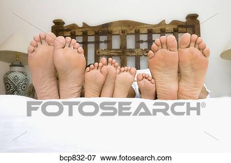 Stock Photo - Soles of couple's and their children's feet on the bed. Fotosearch