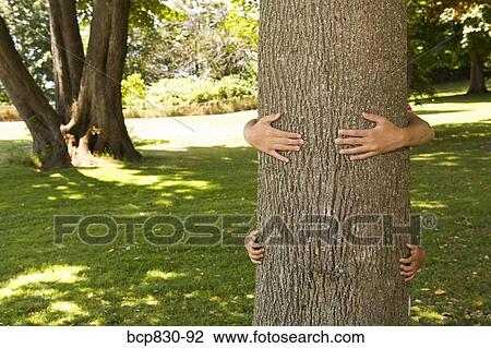 Two children hugging a tree trunk View Large Photo Image Stock Image - Two children hugging a tree trunk. Fotosearch