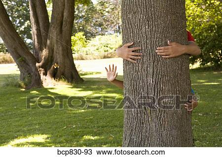 Two children hugging a tree trunk View Large Photo Image Stock Image - Two children hugging a tree trunk. Fotosearch