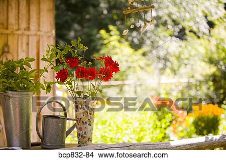 Watering can with a vase of flowers and a potted plant View Large Photo Image Picture - Watering can with a vase of flowers and a potted plant. Fotosearch