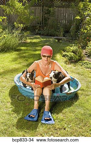 Woman reading a book in a wading pool between two Boston Terriers View Large Photo Image Picture - Woman reading a book in a wading pool between two Boston Terriers. Fotosearch