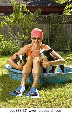 Woman sitting between two Boston Terriers in a wading pool View Large Photo Image Stock Photo - Woman sitting between two Boston Terriers in a wading pool. Fotosearch