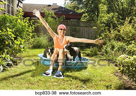 Woman sitting between two Boston Terriers in a wading pool View Large Photo Image Stock Photo - Woman sitting between two Boston Terriers in a wading pool. Fotosearch