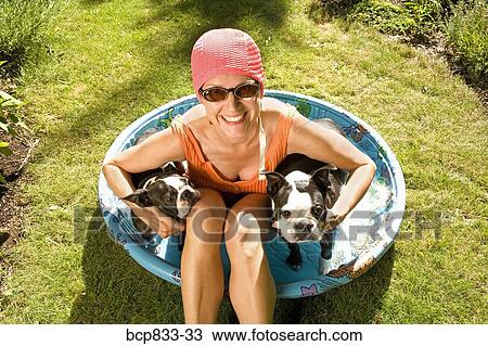 Woman sitting in a wading pool with two Boston Terriers View Large Photo Image Stock Image - Woman sitting in a wading pool with two Boston Terriers. Fotosearch