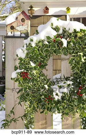 Christmas wreath on an outdoor fence View Large Photo Image Stock Photo - Christmas wreath on an outdoor fence. Fotosearch