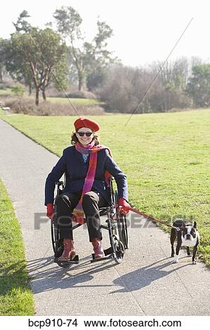 Woman in wheelchair taking her dog for a walk View Large Photo Image Picture - Woman in wheelchair taking her dog for a walk. Fotosearch