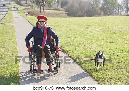 Stock Image - Woman in wheelchair taking her dog for a walk. Fotosearch