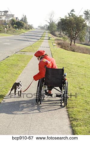 Stock Photo - Woman in wheelchair taking her dog for a walk. Fotosearch