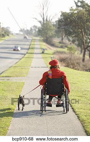 Stock Photo - Woman in wheelchair taking her dog for a walk. Fotosearch