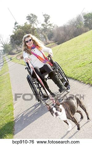 Woman in wheelchair taking her dog for a walk View Large Photo Image Stock Photograph - Woman in wheelchair taking her dog for a walk. Fotosearch
