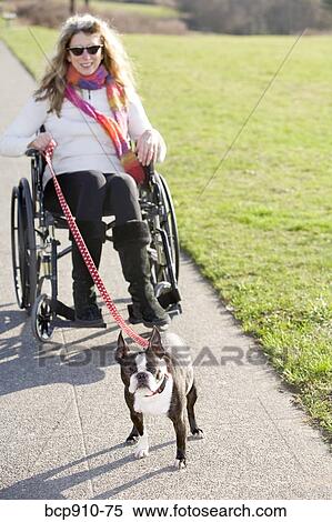 Stock Photography - Woman in wheelchair taking her dog for a walk. Fotosearch