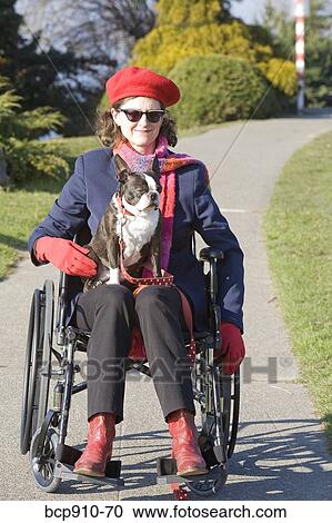 Woman in wheelchair with dog on her lap View Large Photo Image Stock Image - Woman in wheelchair with dog on her lap. Fotosearch