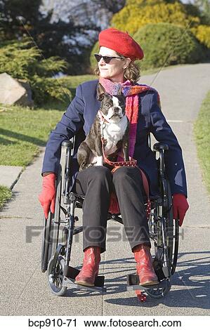 Woman in wheelchair with dog on her lap View Large Photo Image Stock Image - Woman in wheelchair with dog on her lap. Fotosearch