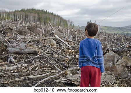 Young boy looking out at cleared landscape of fallen trees View Large Photo Image Stock Image - Young boy looking out at cleared landscape of fallen trees. Fotosearch