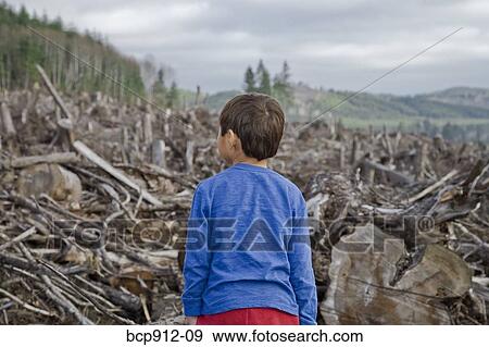 Young boy looking out at cleared landscape of fallen trees View Large Photo Image Stock Photo - Young boy looking out at cleared landscape of fallen trees. Fotosearch