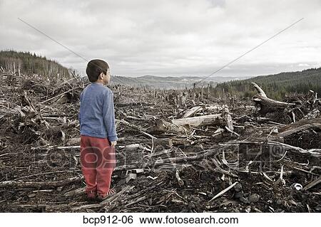 Stock Photograph - Young boy looking out at cleared landscape of fallen trees. Fotosearch