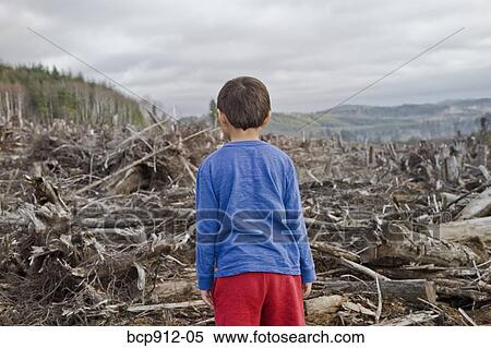 Young boy looking out at cleared landscape of fallen trees View Large Photo Image Stock Photography - Young boy looking out at cleared landscape of fallen trees. Fotosearch
