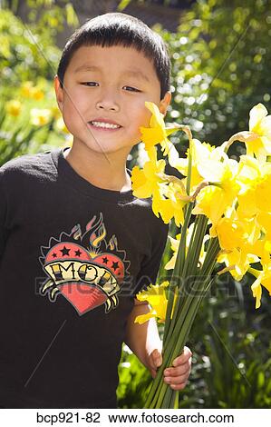Boy holding daffodils in garden View Large Photo Image Stock Image - Boy holding daffodils in garden. Fotosearch
