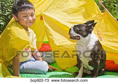 Boy with dogs in backyard tent View Large Photo Image Stock Image - Boy with dogs in backyard tent. Fotosearch