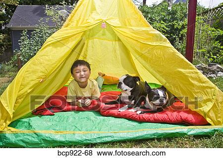Boy with dogs in backyard tent View Large Photo Image Stock Photo - Boy with dogs in backyard tent. Fotosearch