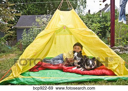 Boy with dogs in backyard tent View Large Photo Image Stock Photo - Boy with dogs in backyard tent. Fotosearch