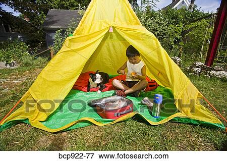 Boy with dogs in backyard tent View Large Photo Image Stock Photo - Boy with dogs in backyard tent. Fotosearch