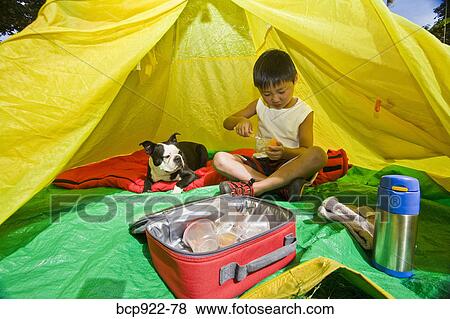 Stock Photo - Boy with dogs in backyard tent. Fotosearch
