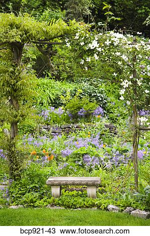 Garden scene in Pacific Northwest View Large Photo Image Stock Image - Garden scene in Pacific Northwest. Fotosearch