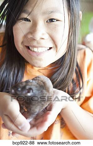 Girl holding pet rat View Large Photo Image Stock Photo - Girl holding pet rat. Fotosearch