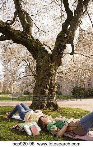 Teen girls on college campus View Large Photo Image Stock Photo - Teen girls on college campus. Fotosearch