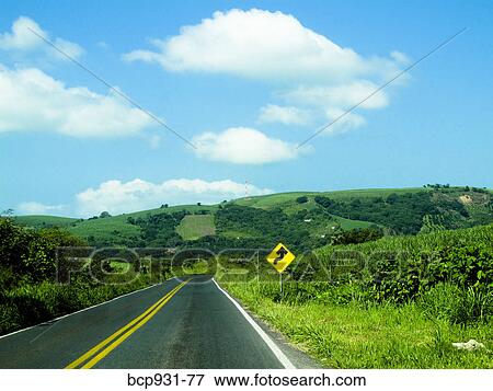 Stock Photo - curve sign on utah road. Fotosearch