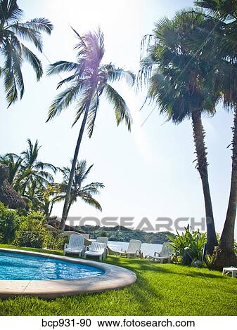 pool in mexico resort View Large Photo Image Stock Image - pool in mexico resort. Fotosearch