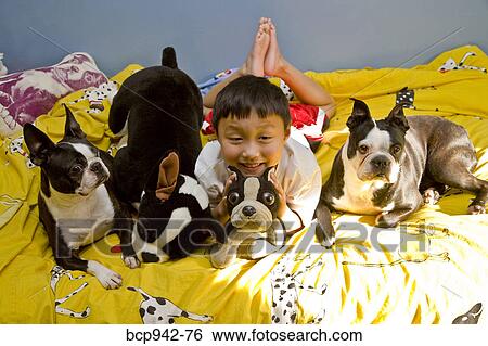 boy on bed with dogs and toys View Large Photo Image Stock Photograph - boy on bed with dogs and toys. Fotosearch