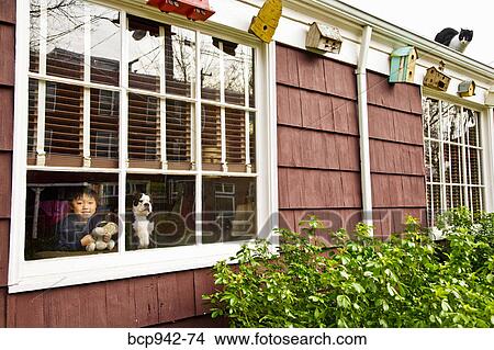 Picture - cat on roof of house. Fotosearch