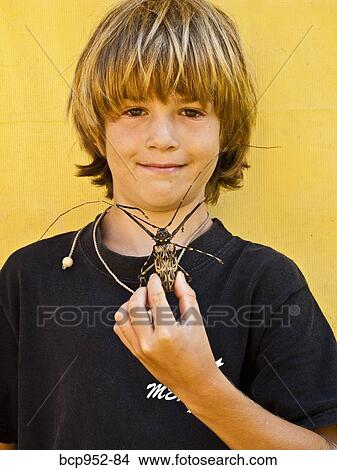 boy holding harlequin beetle, mexico View Large Photo Image Picture - boy holding harlequin beetle, mexico. Fotosearch