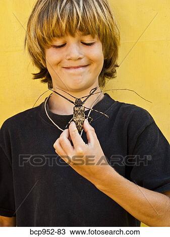 boy holding harlequin beetle, mexico View Large Photo Image Stock Image - boy holding harlequin beetle, mexico. Fotosearch