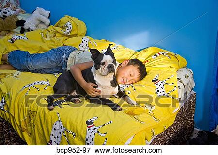 boy napping with dog on bed View Large Photo Image Stock Photo - boy napping with dog on bed. Fotosearch